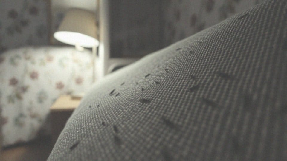 Czy pluskwy biorą się z brudu? Fakty i mity o pluskwach