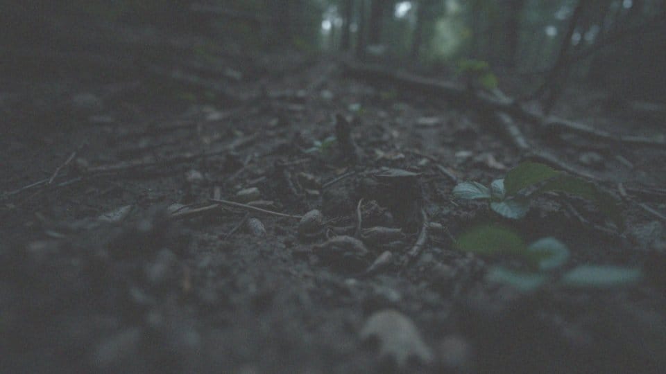 Jak wychodzą robaki z człowieka? Metody i objawy zakażeń pasożytniczych