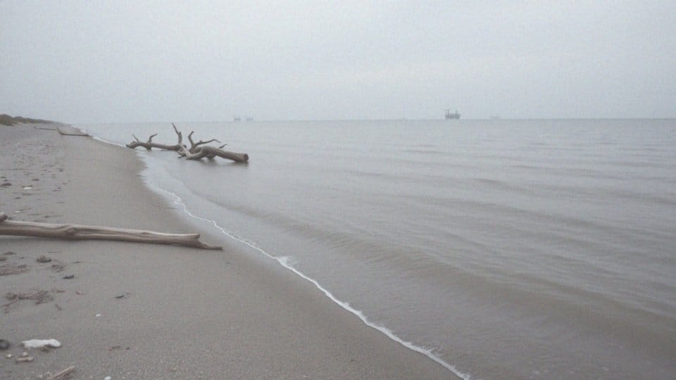 Morze Kaspijskie – ryby i ich niezwykłe gatunki