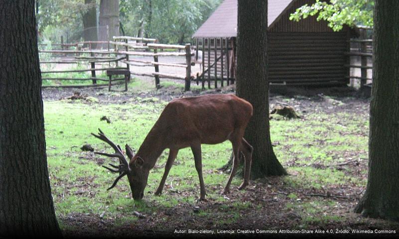 Ogród Zoologiczny w Nowym Tomyślu