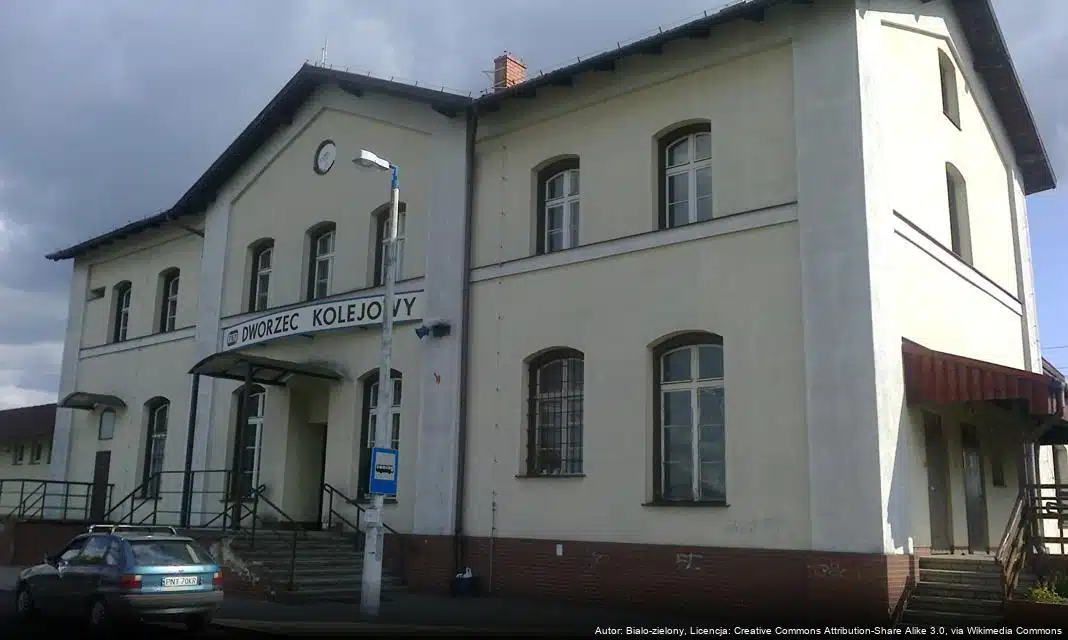 XLVI Ogólnopolski Plener Wikliniarski „Wiklina 2025” w Nowym Tomyślu